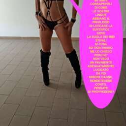 92eb626b7038efe70c158411a46e4c1a.jpg
