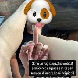 db15c7b93dd9c30865301f1cf049b7cc.jpg